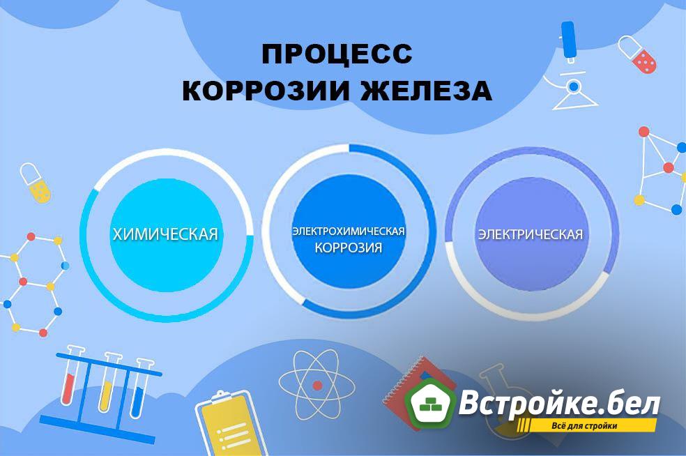 6.jpg?lang=ru